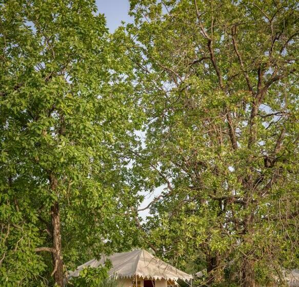 Deluxe Tent, Bagh Villas I Kanha