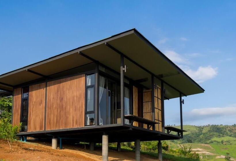 Standart Oda, Ban Raiphudin