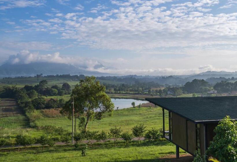 Standart Oda, Ban Raiphudin