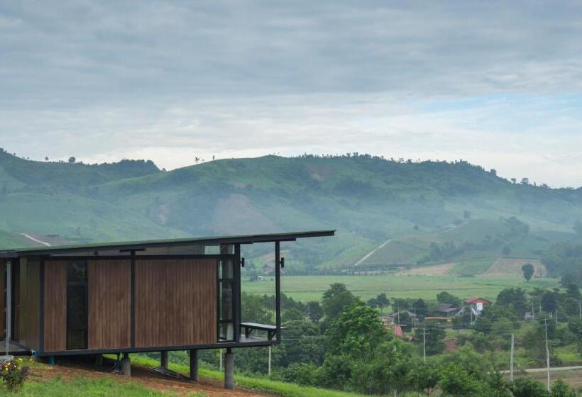 Standart Oda, Ban Raiphudin