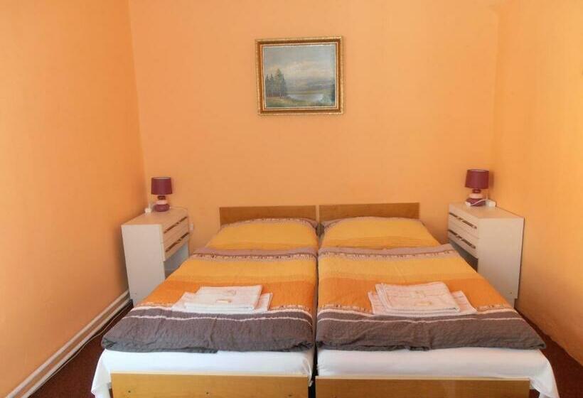 غرفة قياسية, Penzion U české Koruny