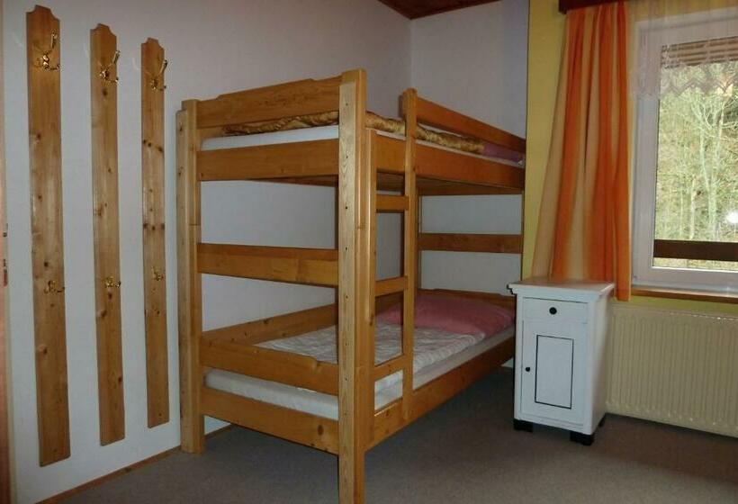 Дом 1 Спальня, Pod Sněžníkem