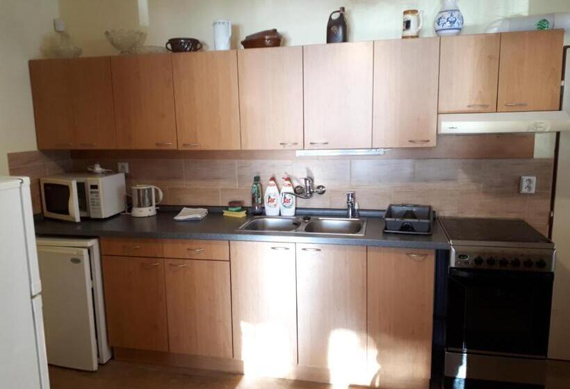 4인용 스탠다드 룸, Pod Sněžníkem