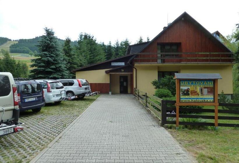 Номер Стандарт, Pod Sněžníkem
