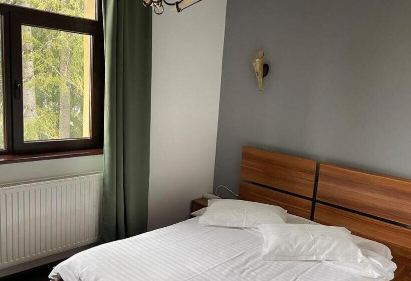 1间卧室的房子, Pension Casa Del Sol Predeal