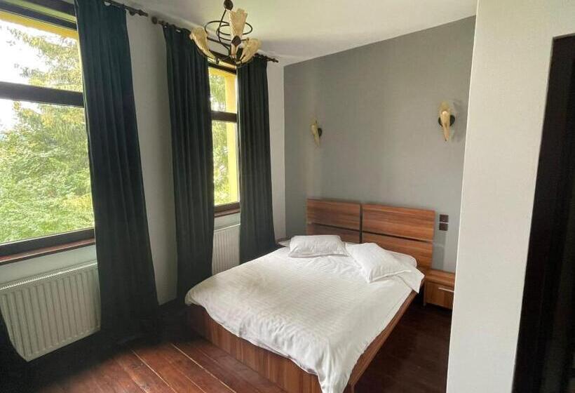 1间卧室的房子, Pension Casa Del Sol Predeal