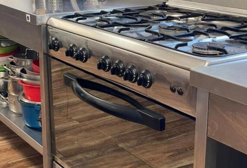 1间卧室的房子, Pension Casa Del Sol Predeal