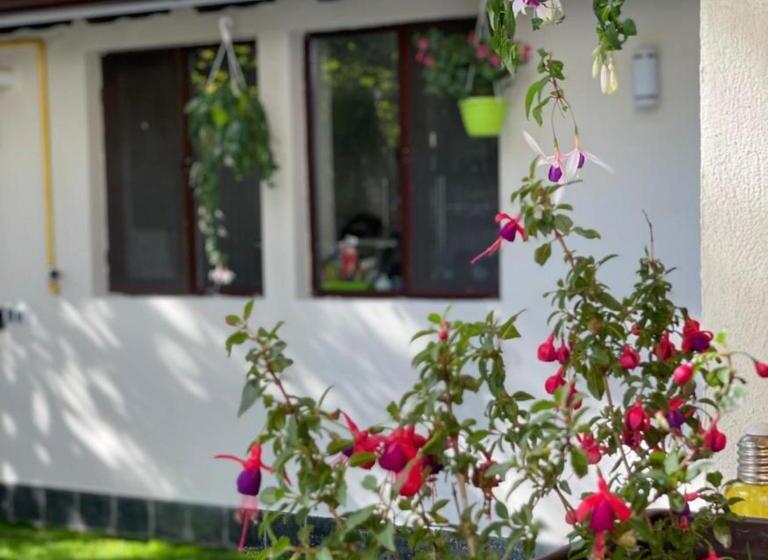 1间卧室的房子, Pension Casa Del Sol Predeal