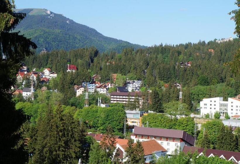 1间卧室的房子, Pension Casa Del Sol Predeal