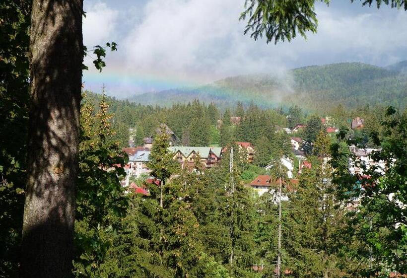 Дом 1 Спальня, Pension Casa Del Sol Predeal