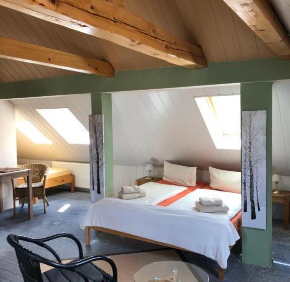 Студио Стандарт с Видом, Pension Mühlhahn