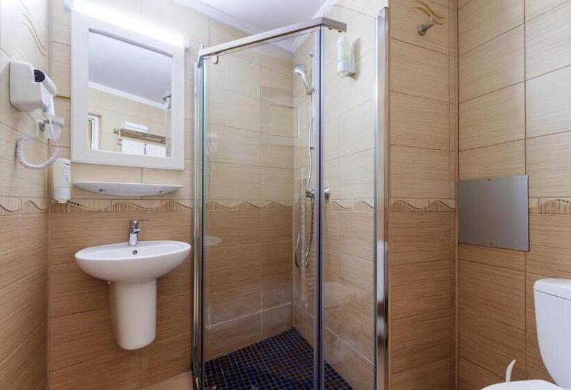 غرفة قياسية, Central   Baile Olanesti