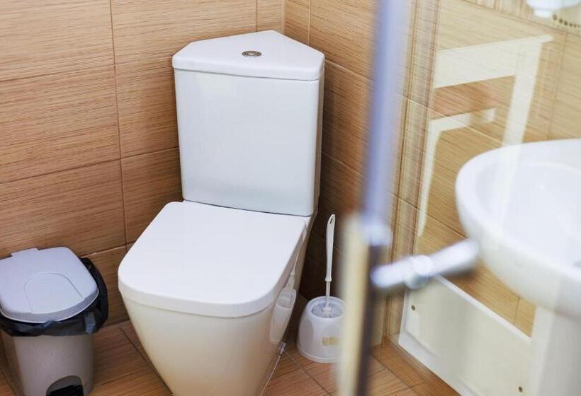 شقة غرفة واحدة, Central   Baile Olanesti