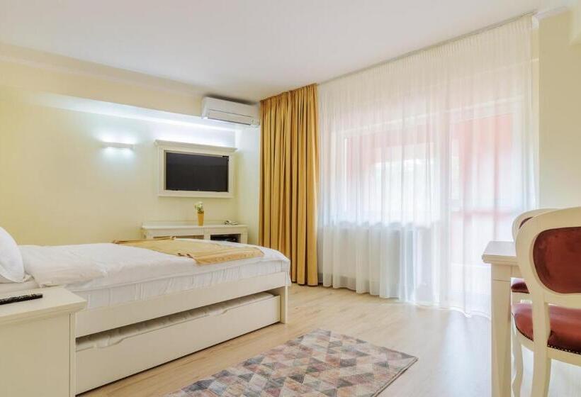 شقة غرفة واحدة, Central   Baile Olanesti