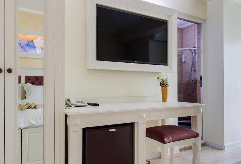 غرفة قياسية, Central   Baile Olanesti