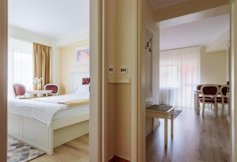 شقة غرفة واحدة, Central   Baile Olanesti