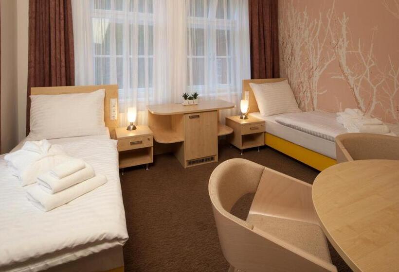 חדר סטנדרט מותאם לאדם עם מוגבלויות, Terra