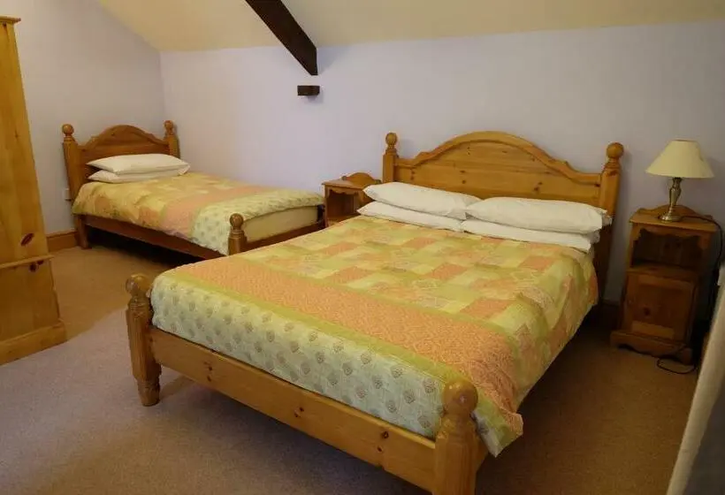 Deluxe Kolmen Hengen Huone, Brynderwen