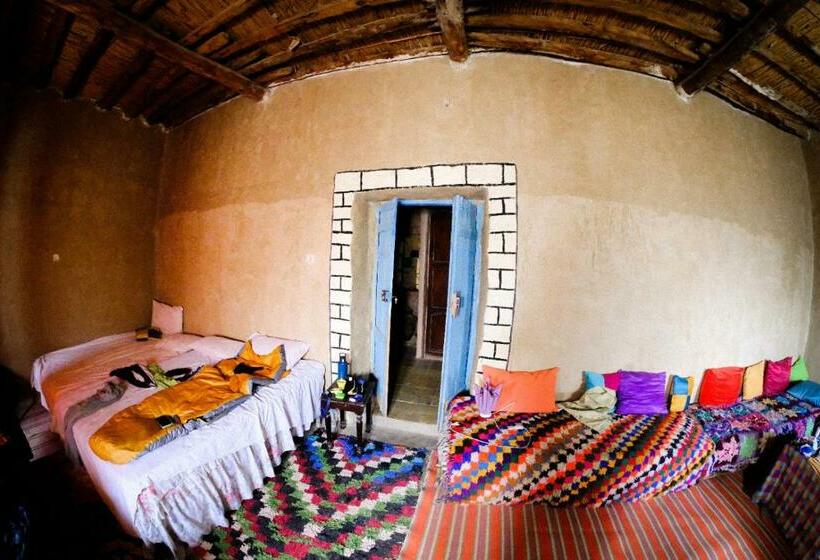 اتاق استاندارد, Oasis Travel