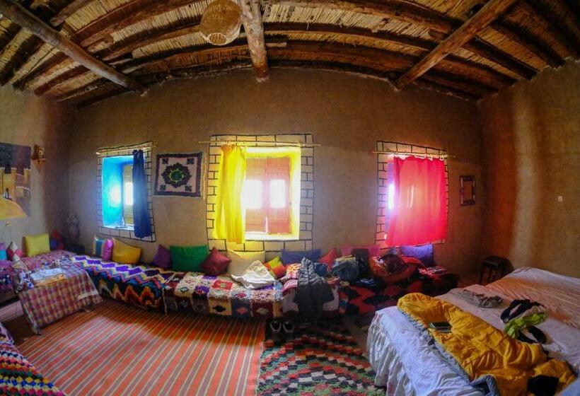 اتاق استاندارد, Oasis Travel