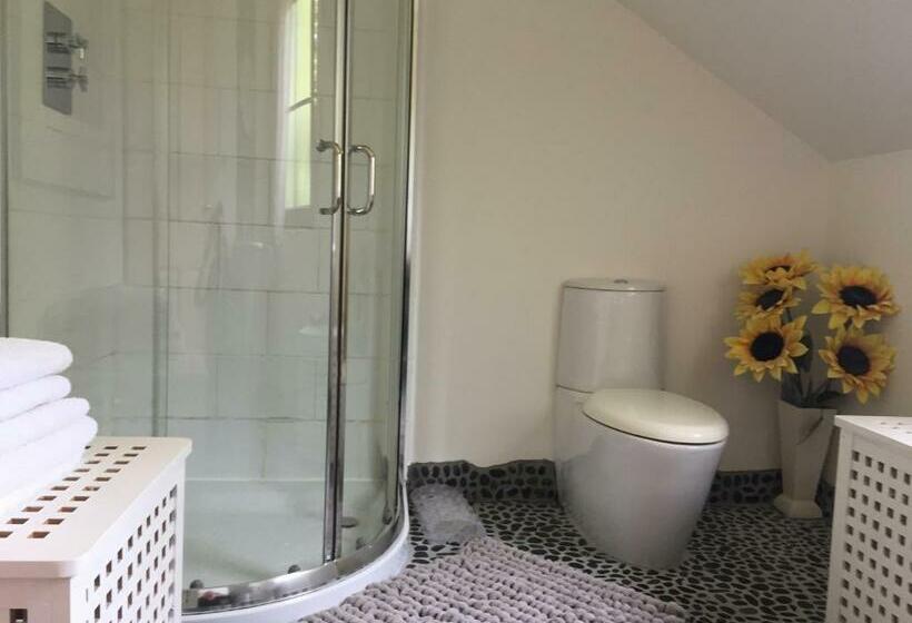 标准间, The Vandees