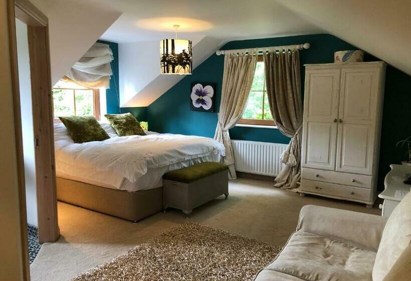 标准间, The Vandees