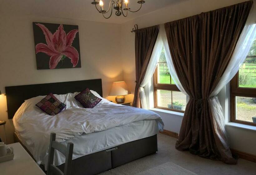 标准间, The Vandees