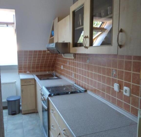 豪华套房, Penzion Kosky