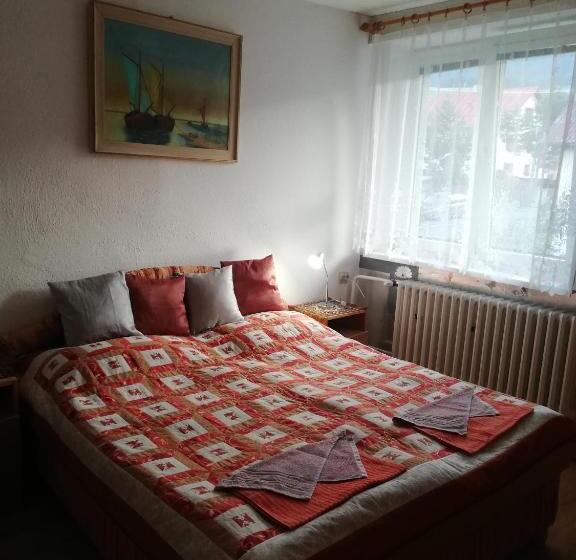 四人标准间, Privat Ludmila