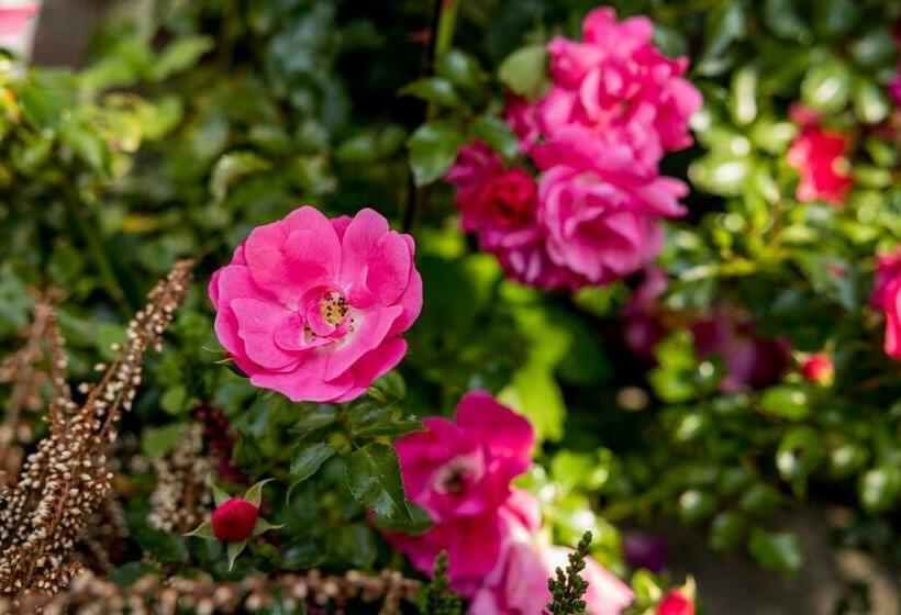 스탠다드 룸 가든 전망, At Marries