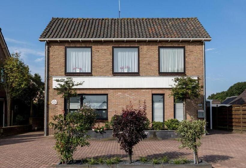 스탠다드 룸, At Marries