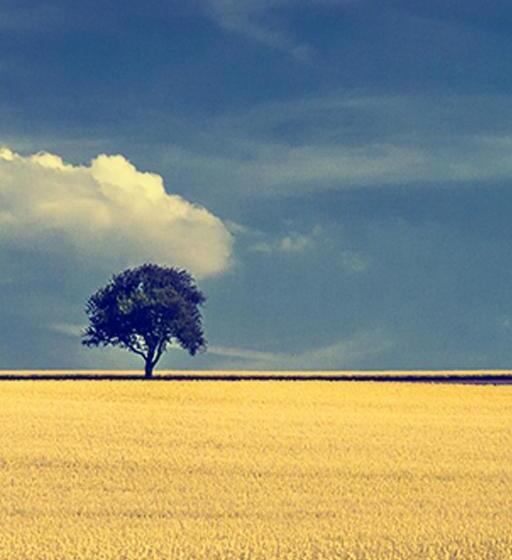 בקתת חדר, Somerleyton Meadows   The Hideaway Hut & Hot Tub