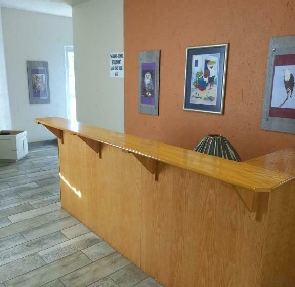 スタンダードシングルルーム, Nite Owl B&b