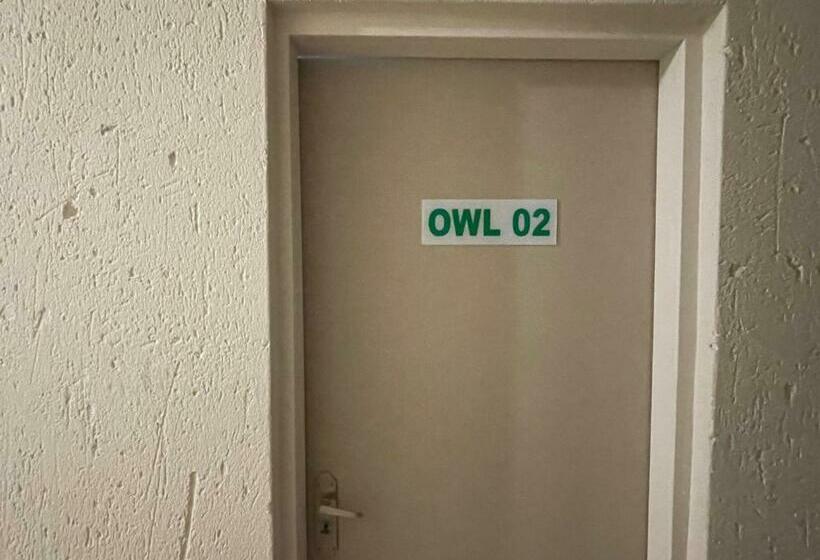 スタンダードルーム, Nite Owl B&b