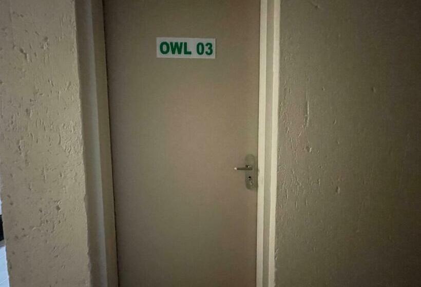 Номер Стандарт, Nite Owl B&b