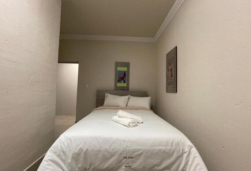 スタンダードルーム, Nite Owl B&b