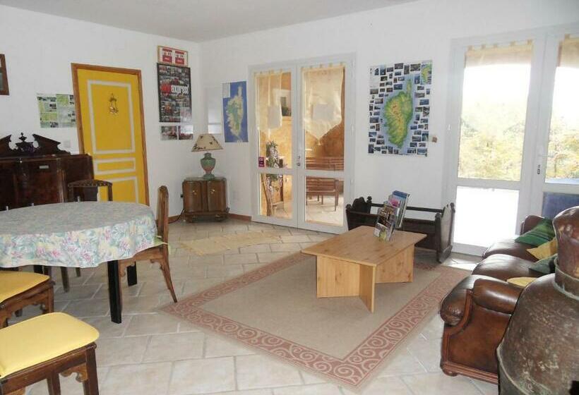 マウンテンビュースタンダードルーム, A Pianella