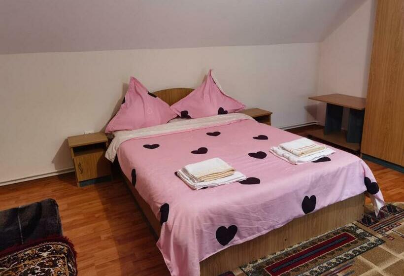 Номер Стандарт, Casa Girbacea