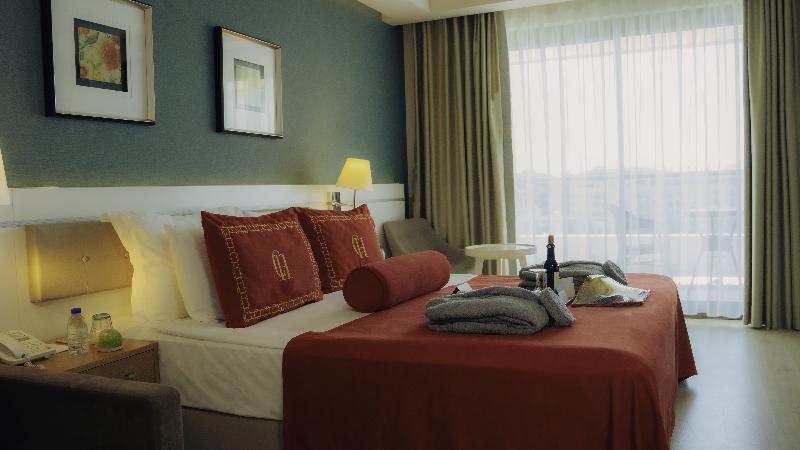 غرفة قياسية, Heritage Hotel Life Palace