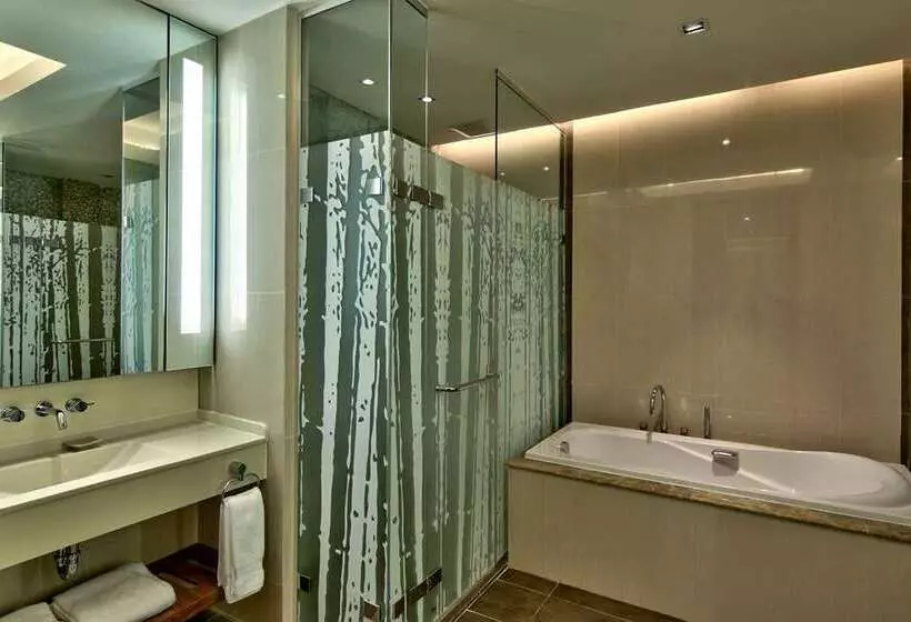 استودیو استاندارد با تخت کینگ, Hilton Nay Pyi Taw