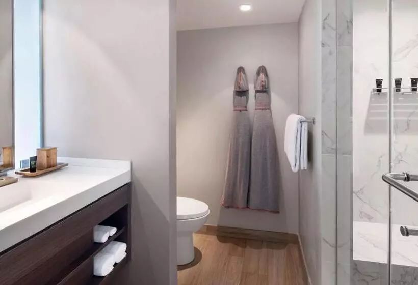 اتاق استاندارد با چشم‌انداز شهر, Hyatt Centric South Beach Miami