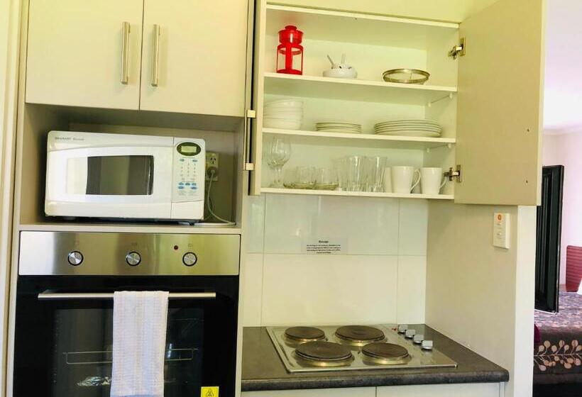 Апартаменты Deluxe 1 Спальня, Red Rock Thermal Motel Mineral Pool