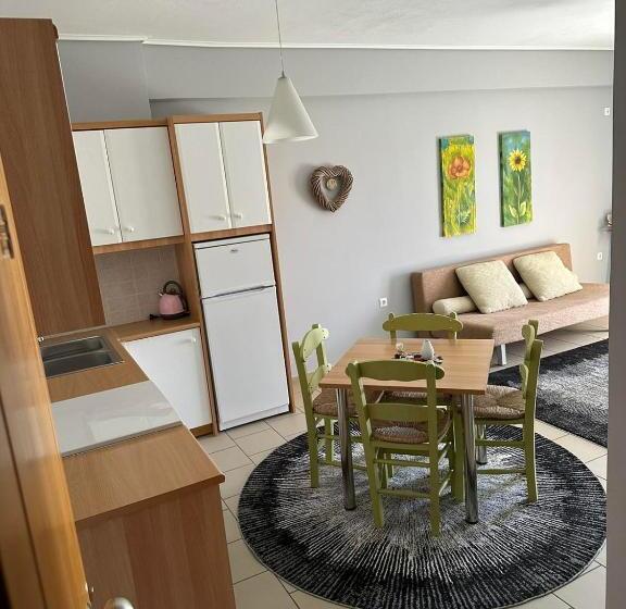 شقة غرفة واحدة, Xenonas Drimos