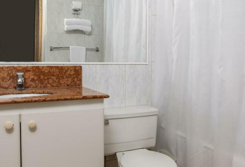 חדר סטודיו סטנדרד, Apart Enjoy Pucón