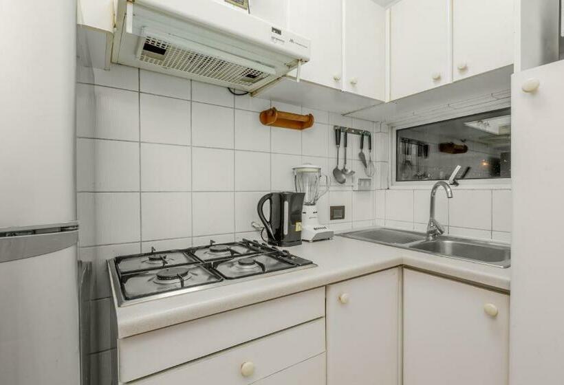 דירה קלאסית חדר שינה אחד, Apart Enjoy Pucón