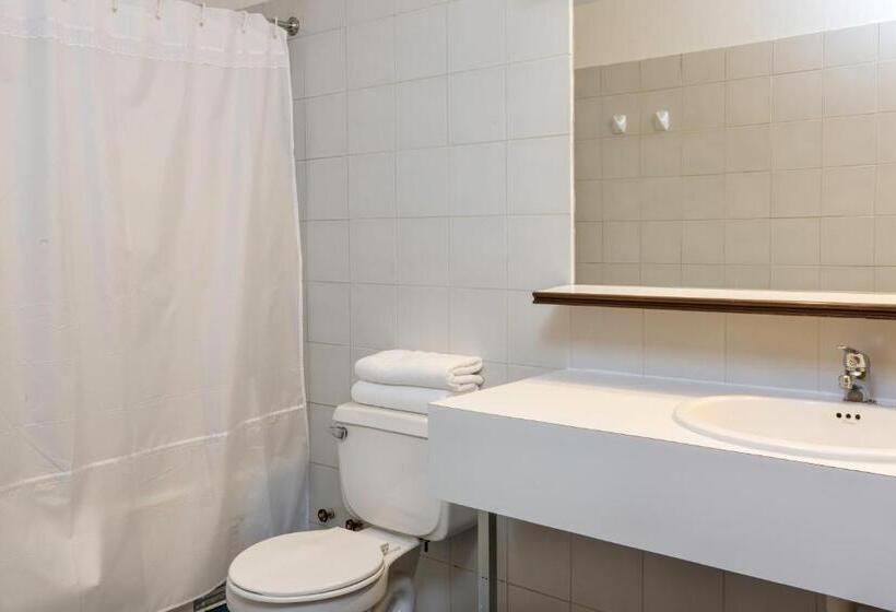 דירת דופלקס בת חדר שינה 1, Apart Enjoy Pucón