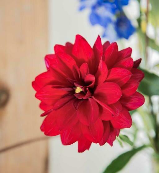 חדר סטנדרט, Bed En Breakfast Puur8a