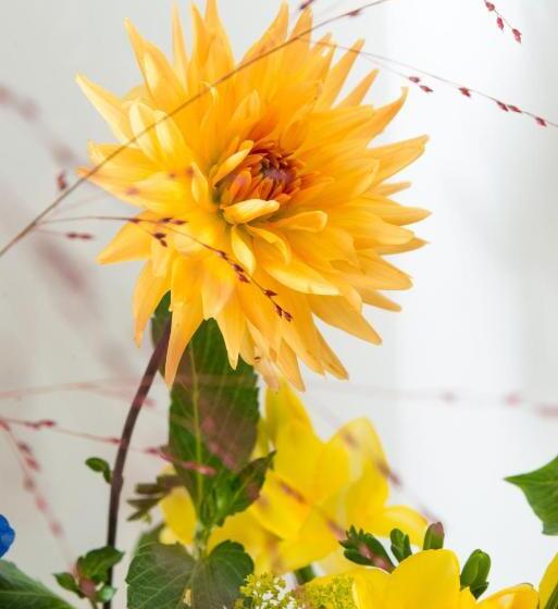 חדר סטנדרט, Bed En Breakfast Puur8a