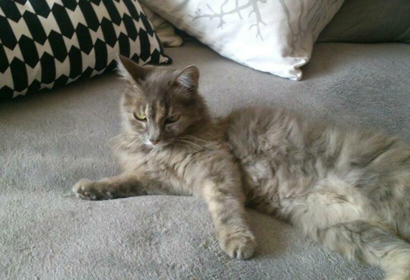 סוויטה משפחתית, Chambres D Hôtes Lou Félibre