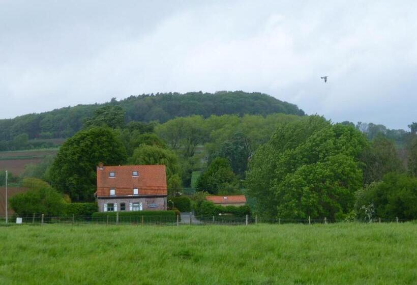 スタンダードルーム, B&b Haere Mai